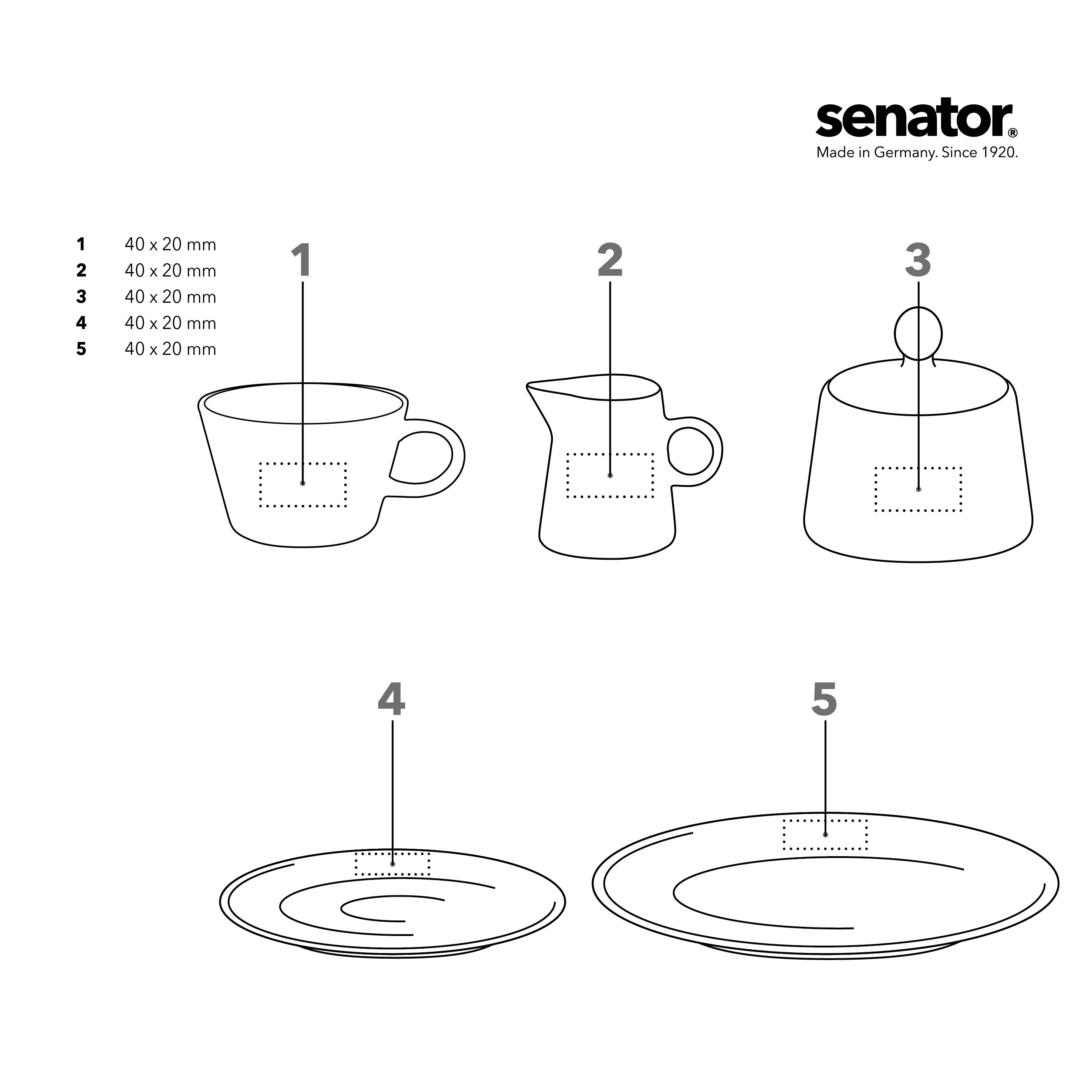 senator Fancy Start- Up Box