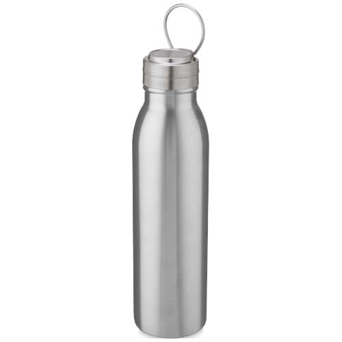 Harper 700 ml Sportflasche aus Edelstahl mit Metallschlaufe