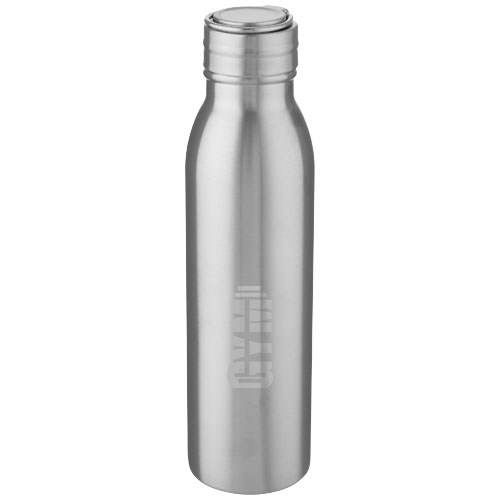 Harper 700 ml Sportflasche aus Edelstahl mit Metallschlaufe