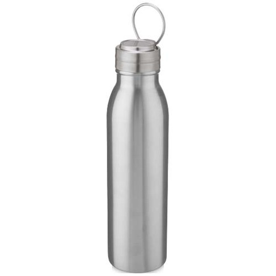 Harper 700 ml Sportflasche aus Edelstahl mit Metallschlaufe