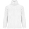 Artic Fleecejacke für Herren