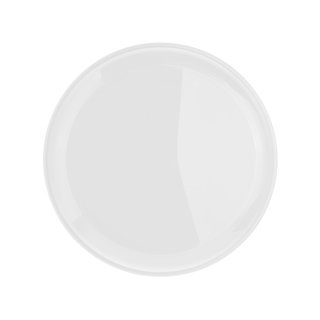 Wurfscheibe "Jupiter"