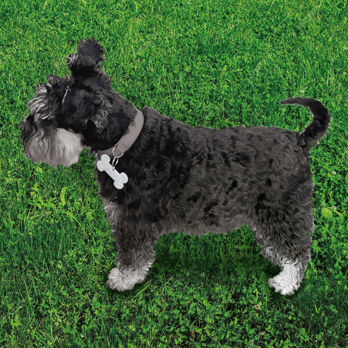 Weich-Reflektor "Knochen"