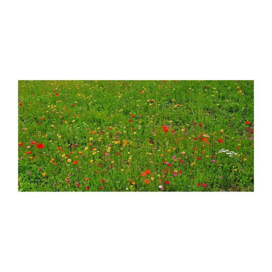 Osternest ohne Kalorien: Mini-Eierschachtel mit Happy-Easter Banderole und 6 farbigen Samenbomben für eine Bienenwiese