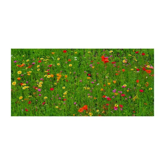 Osternest ohne Kalorien: Mini-Eierschachtel mit Frohe-Ostern Banderole und 6 farbigen Samenbomben für eine Bienenwiese