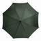 Automatik-Holzstockschirm BOOGIE, dunkelgrün