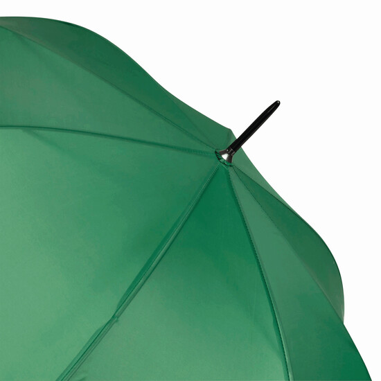 Automatik-Stockschirm LIMBO, grün