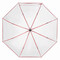 Automatischer Windproof-Stockschirm VIP, rot, transparent