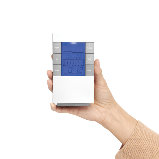 Wetterstation SUNNY TIMES, grau, silber