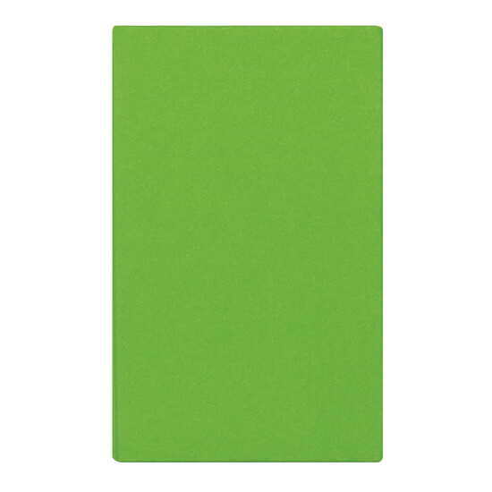 Notizbuch LITTLE NOTES, apfelgrün