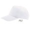Five Panel Cap Buzz